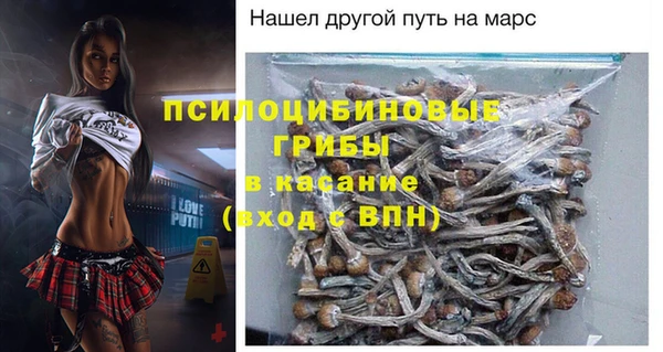 прущие грибы Бугульма