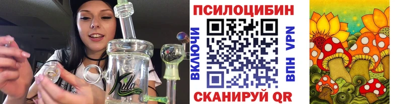 Галлюциногенные грибы Psilocybine cubensis  Добрянка 